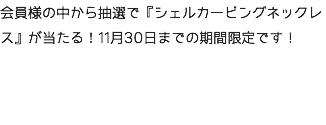 会員様の中から抽選で『シェルカービングネックレス』が当たる！11月30日までの期間限定です！  